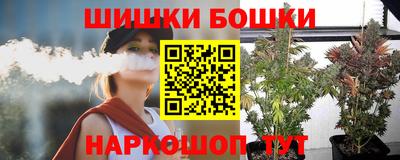 дмт Будённовск