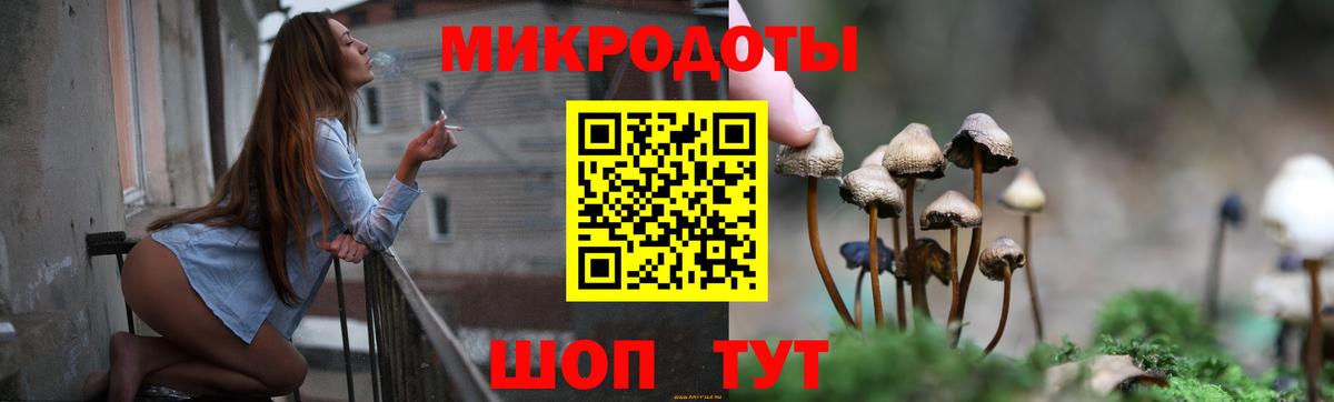 цена   Псилоцибиновые грибы мухоморы  Вход с VPN  Тутаев  Псилоцибиновые грибы Psilocybine cubensis 